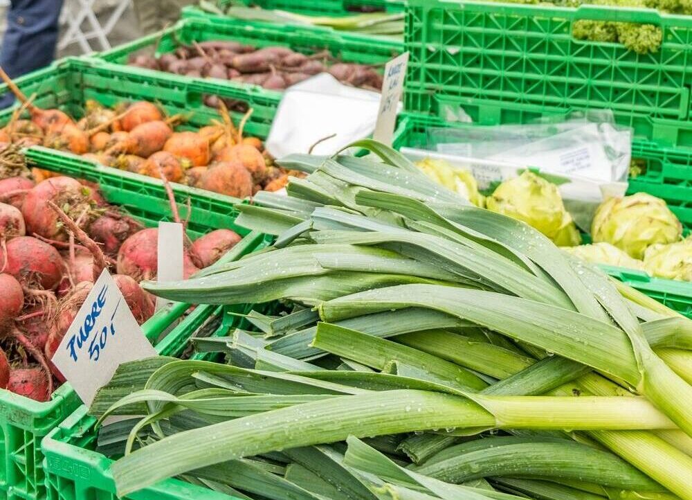 496132997_4120567734845973_943440550308527976_n